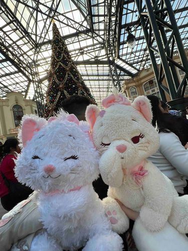 たのしかったね、クリスマス
