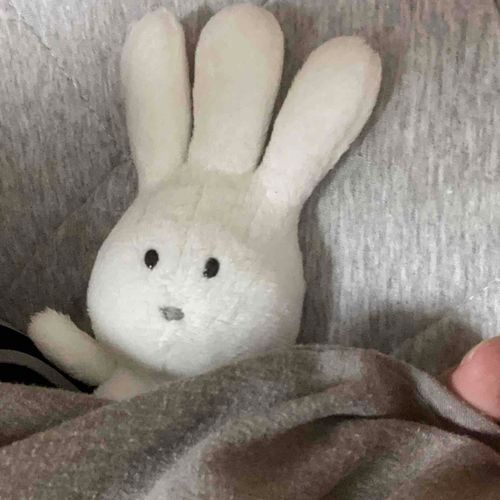 にんげんってあたたかいな・・・なんだかねむくなってきたや・・・おやすみなさい・・・