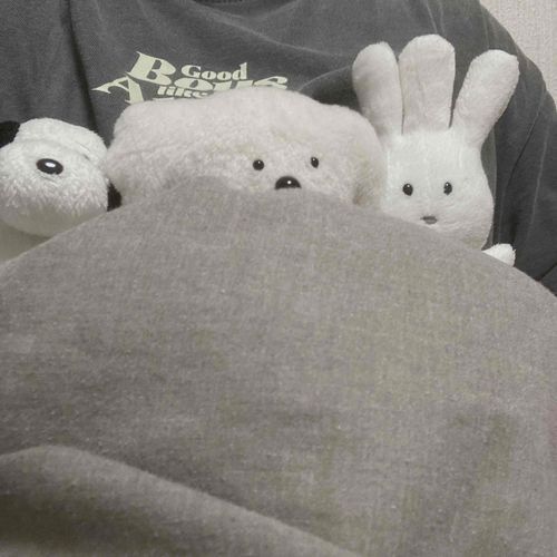 いつもいっしょにいるにんげんが、なんだかなやんでるみたいなので、みんなでねることにしたよ