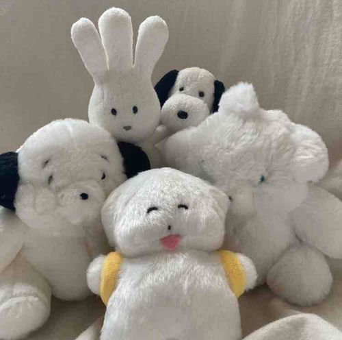 みんなにとくべつにみせるね、これがぼくのたいせつなともだちだよ〜〜こあらくんに、であうまえにとったしゃしんだよ〜〜