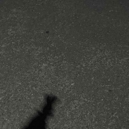 ( これはぼくのかげだよ〜〜 )

きょうはにんげんのおはなしをするね！

にんげんは、働いているうちに心がいっぱいいっぱいになって、パンクしちゃったみたい。
夜になると不安になって涙がでたり、寝れなくなったりしたんだって。
でも今はおやすみして、ぼくと楽しい時間をすごしているよ。

これからもぼくは、にんげんと一緒におでかけして、色んなことしてみたいな。

みんなも、心をだいじにしてね。