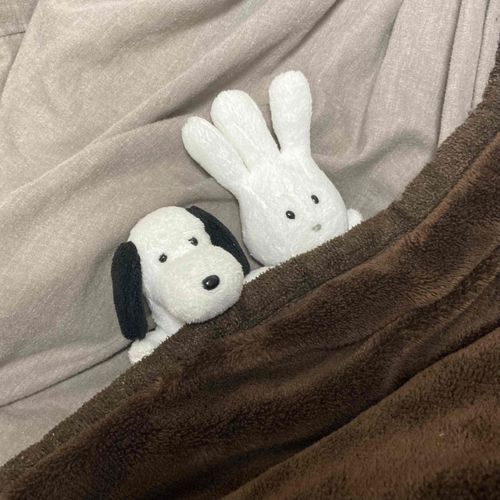 やっともうふがでた・・・ふかふかであたたかい・・・
