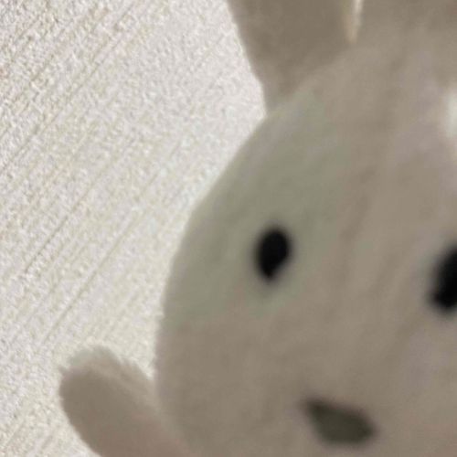 みんなげんき？？
ぼくはげんきだよ