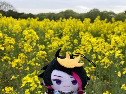 きいろでおそろい🍌