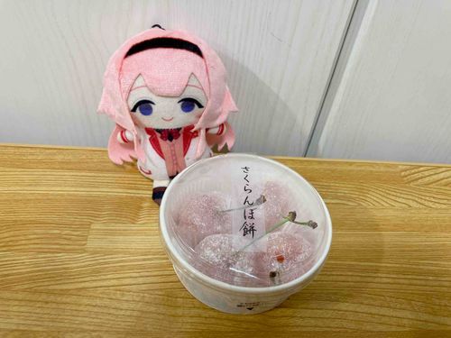 たべたくなってかってきた🍒
もちもちジューシーでおいしかったね🫶🫶