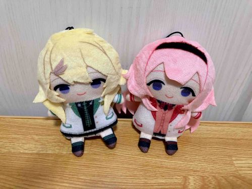 こはたんがお家にきたよ💞
たくさんおでかけしようね🫶