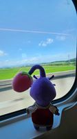 紫ピクミンの地球旅行