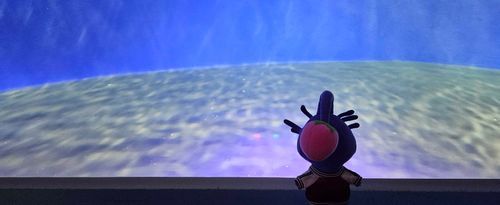 ふんにゃ....
(みんないなくなっちゃった.....)