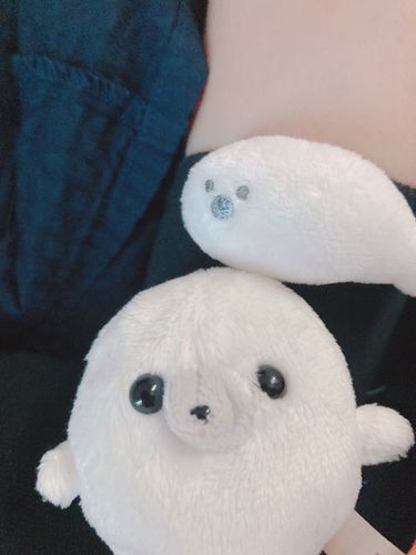 ニンゲンの靴下　あざらし