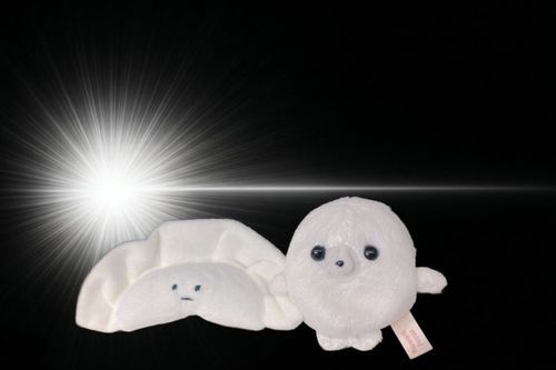 あれ、連休が終わりそうだぞ？？？