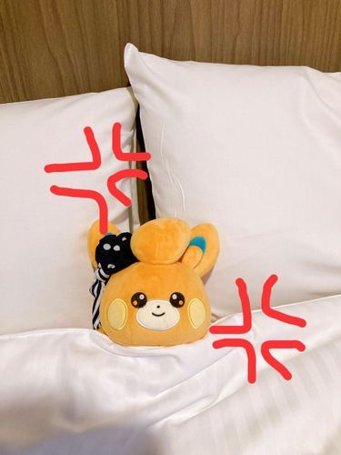 連休が終わったから「おこパモ」なの
