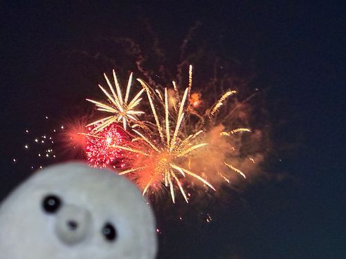 夏してきた