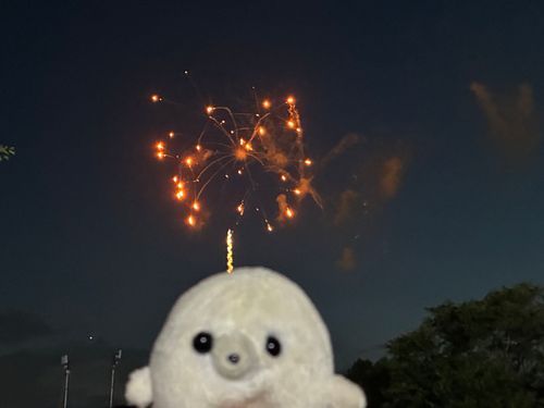 ﾆｮｷｯ

なんか生えた