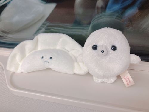 飼い主が持ってるアザラシのぬいぐるみ付き靴下がどんどんダメになっていってるらしいです。いけませんわね。