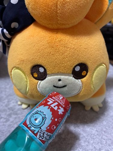 トレーナーさんがお仕事で貰ったんだって！！
