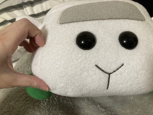 飼い主さんとハート作ったぁ
プイ