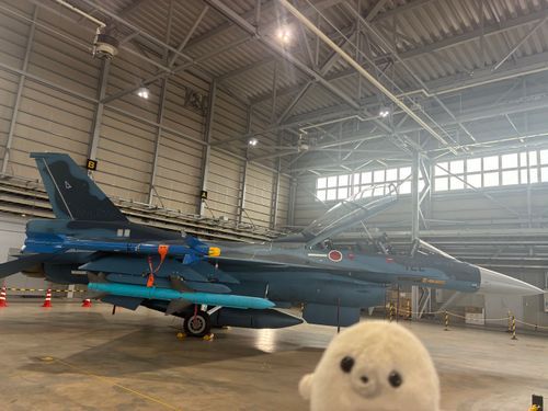 あざらしは小さすぎて乗れそうにないですね。