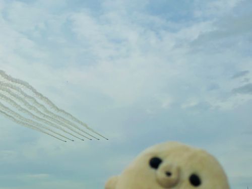 ニンゲン！お空見て！
ぶる！いんぱるす！