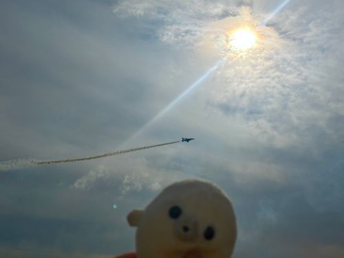 あざらしも、大空に向かって一直線です！！！