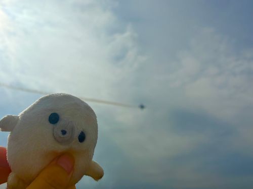 みて！ぶるーいんぱるすの真似！！
ピューン！！！