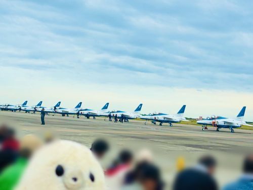 ニンゲン、あたちアレ乗りたい。
ぶるーいんぱるす