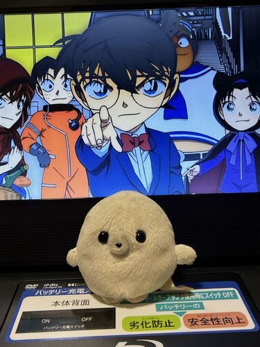 飼い主のハロウィンの恒例儀式。
コナン映画のハロウィンの花嫁視聴。
まだまだ物語は続くぞ！