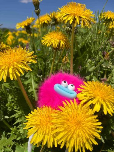 黄色い仲間がいっぱいいたぞ。