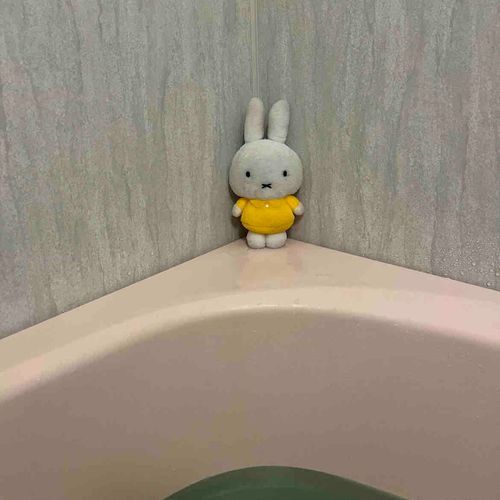 おふろこわい、

でもお顔が汚れてるから入るんだ