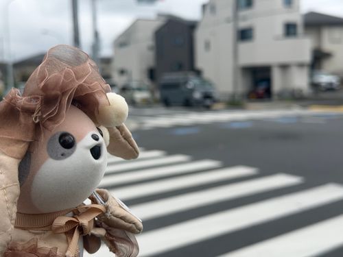 今日はしおとおでかけしたよ。
新しいお洋服を着せてもらったの！
まぐろ、かわいい？
