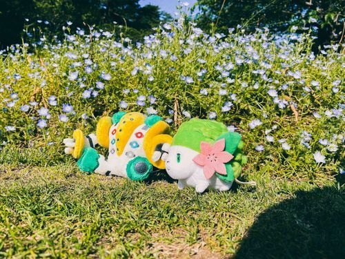 お花がいっぱいだったよー
