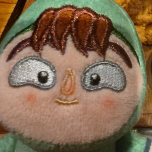 青葉つむぎ、ほわぬい・もちぴこの次屋三之助メイン
たまに他の忍たまぬいも載せるかも
よろしくお願いします