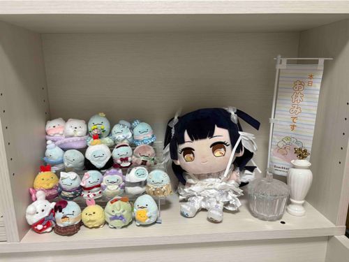 新しいおうちだよ