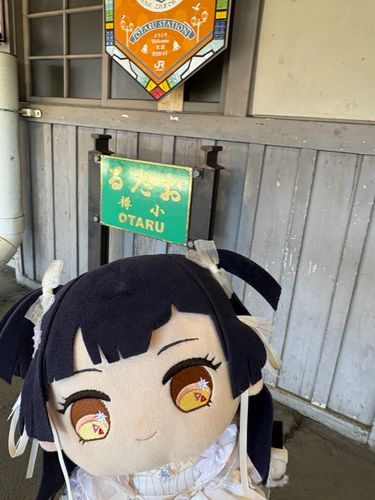 小樽だね