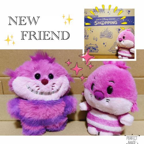 いらっしゃい。そしてこれからはおかえり。てんちょーもお友達が増えて嬉しそう( *´꒳`* )
