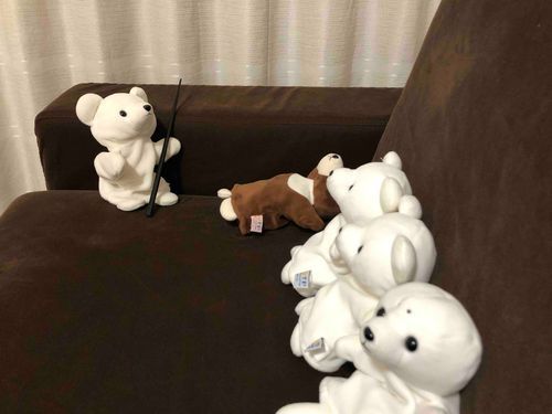 くまたすが　まほう　おしえてあげる
#はりーぽったー