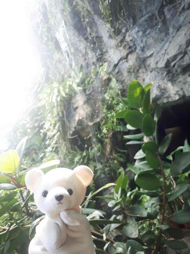 ふふふ　どこにきたとおもう？