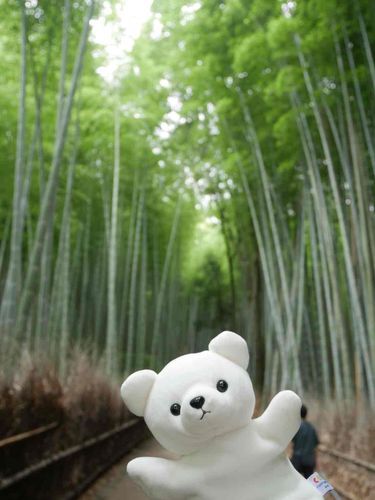 ちくりんで　ごうゆうする　くまいち