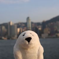 あざらし家🦭