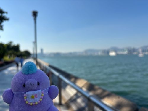 やはりまだまだ暑いね、香港
