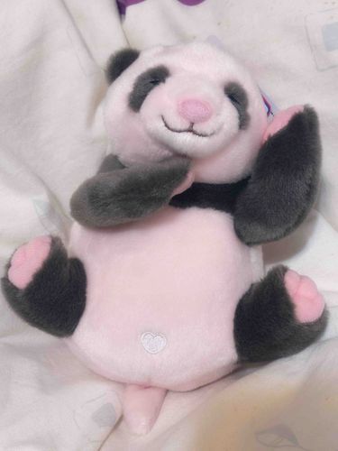 🐼🤍
