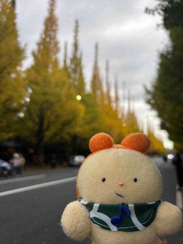 イチョウ