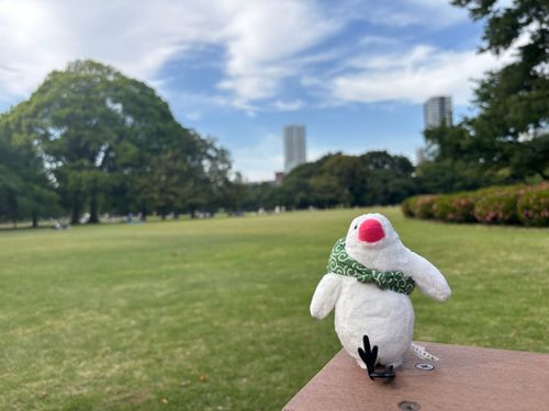 暑くなってきた