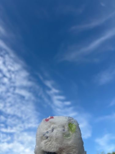 おばけだけど　昼間　好き　青空は　大好き