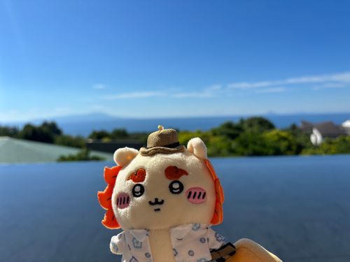 今日天気良くなってうれシーサー✨