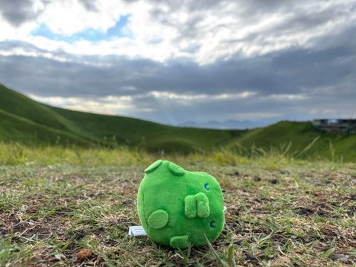 大室山、チル