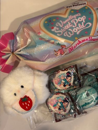 かわいいお土産　いつかディズニー行きたいね