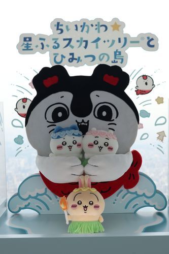 島