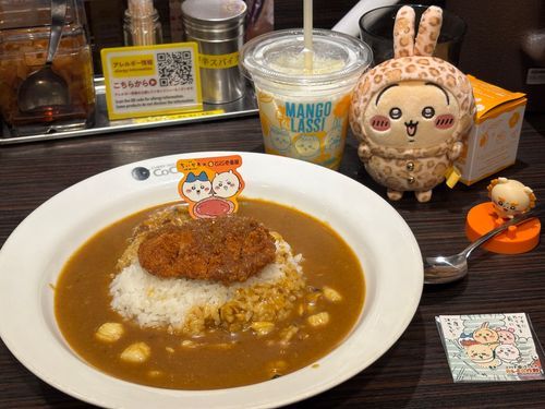 カレー食べすぎ問題