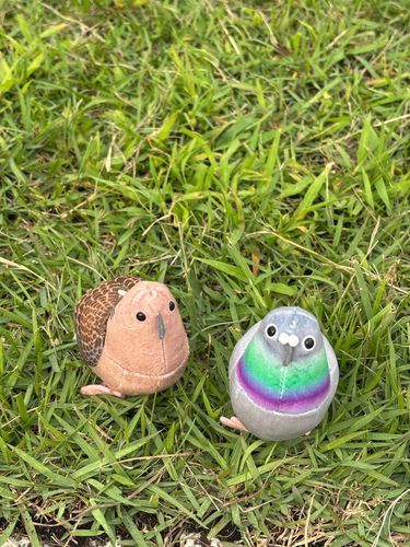 🐦