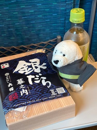 天気悪し🚅